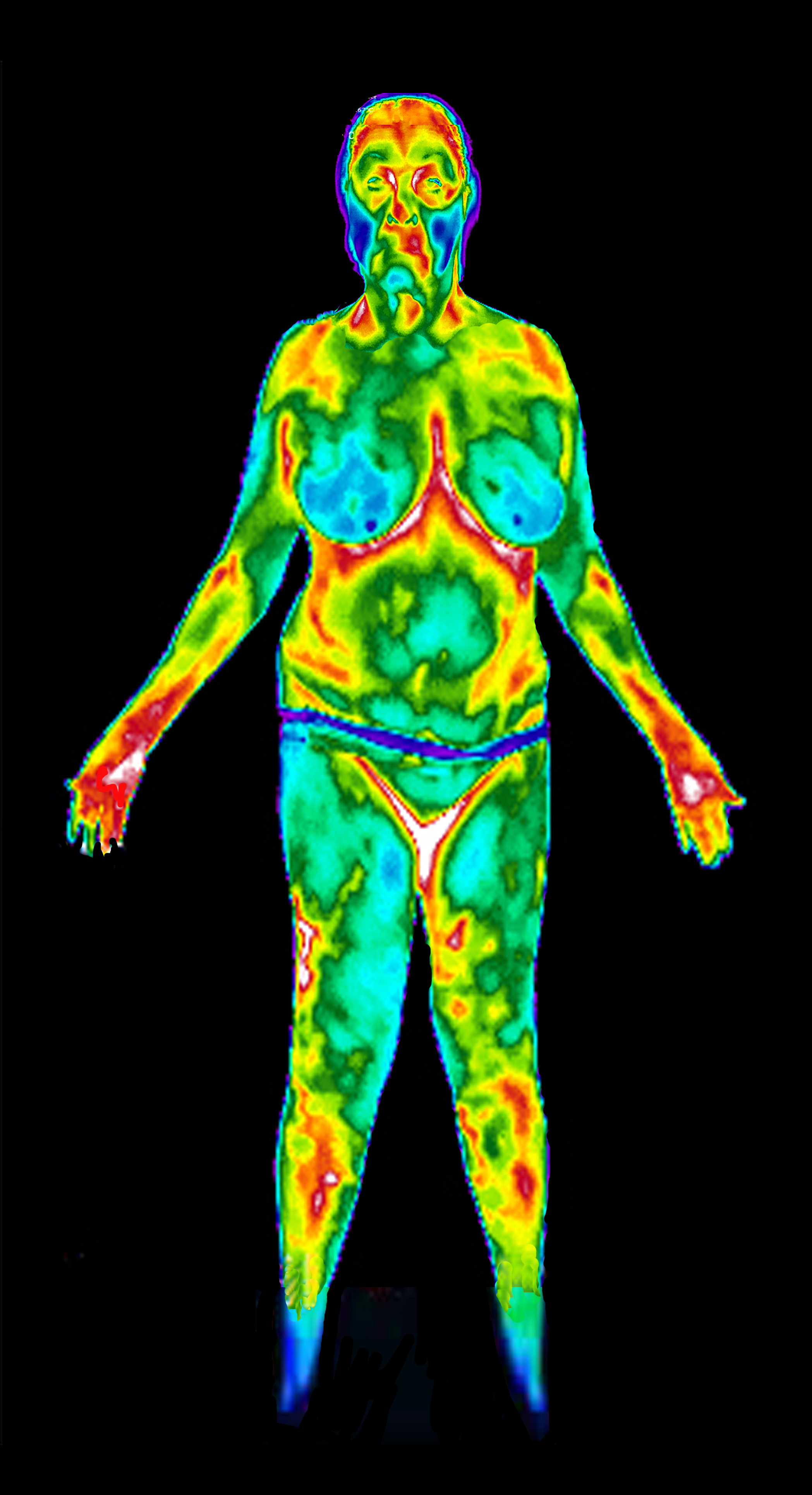 Full Body Scan
